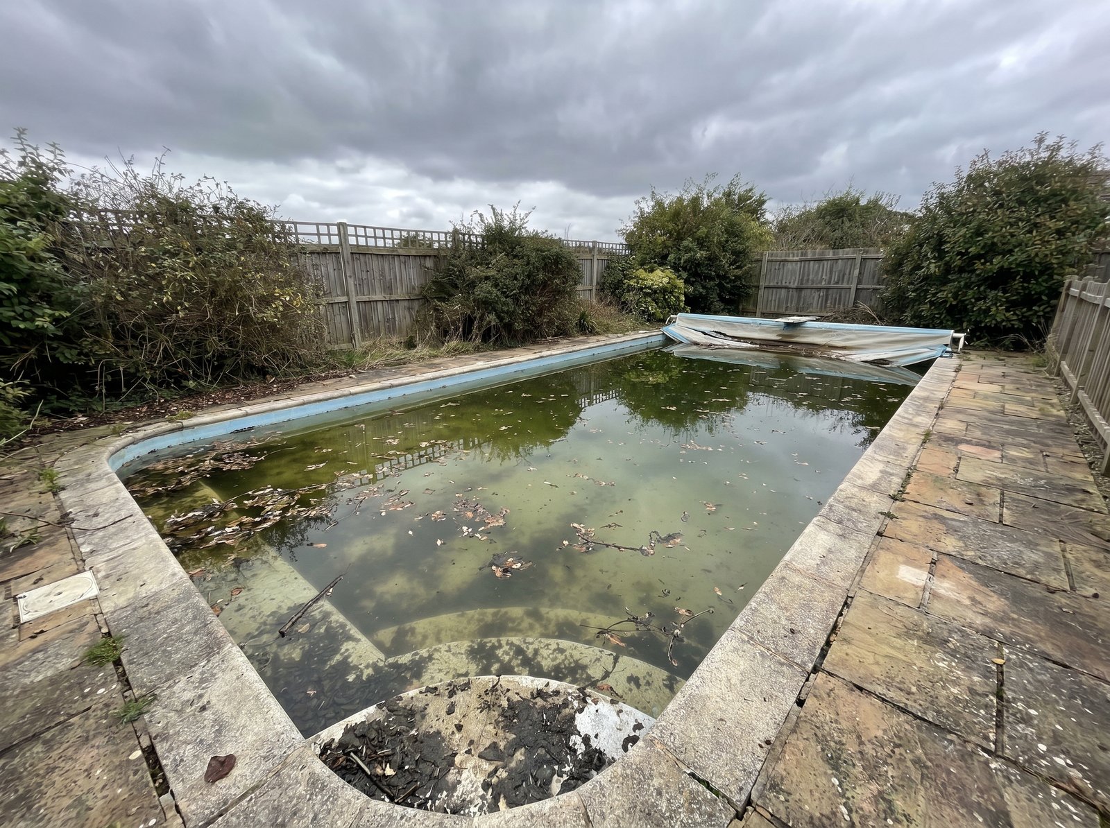 mister piscine avant