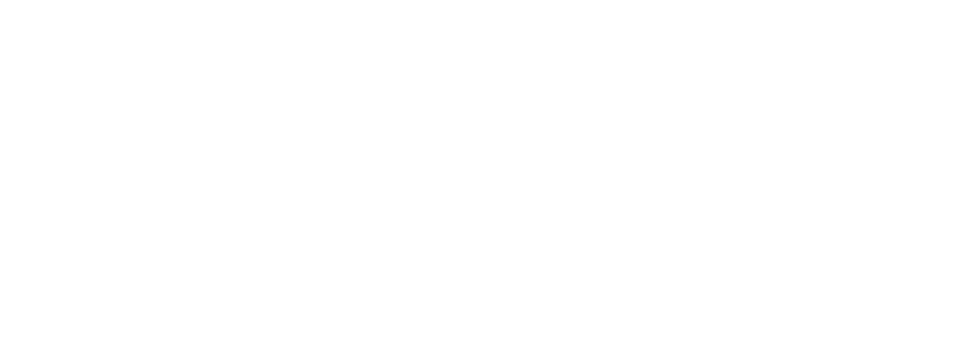 mister piscine logo white